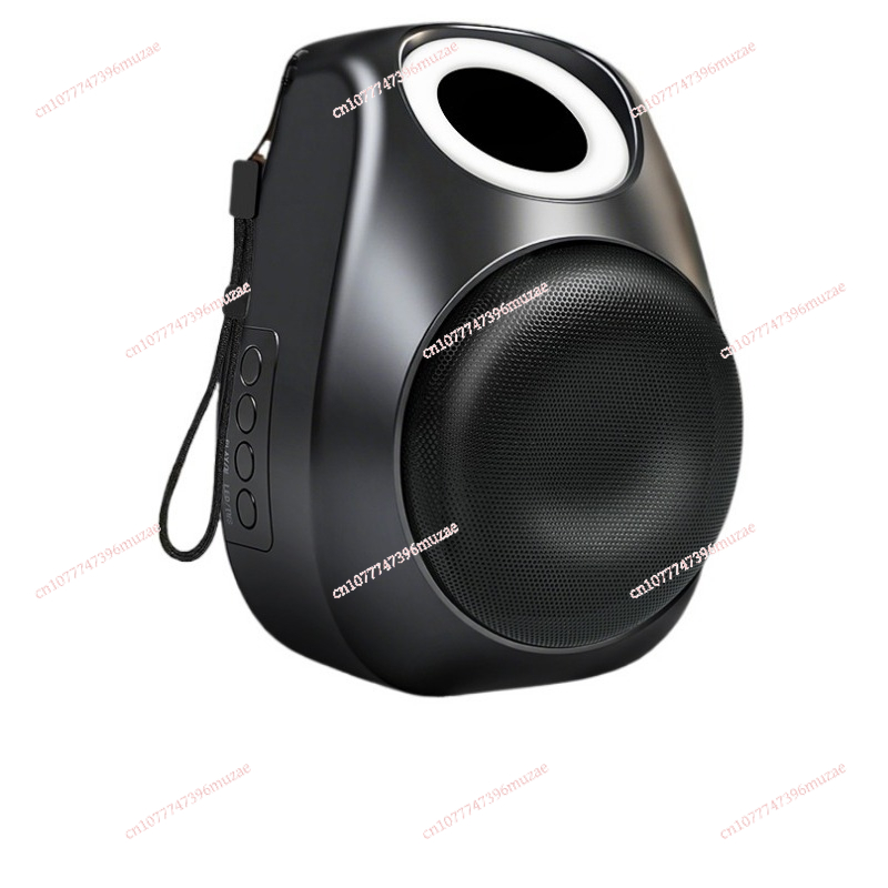 Quality Outdoor Power - Draadloze Bluetooth audio piek 50W krachtige